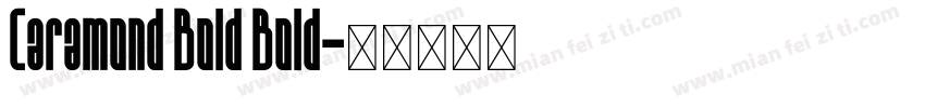Caramond Bold Bold字体转换
